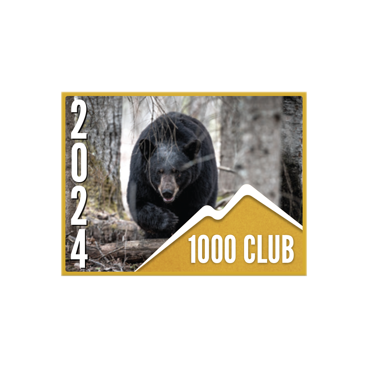 1000 CLUB Pin (1 pk)