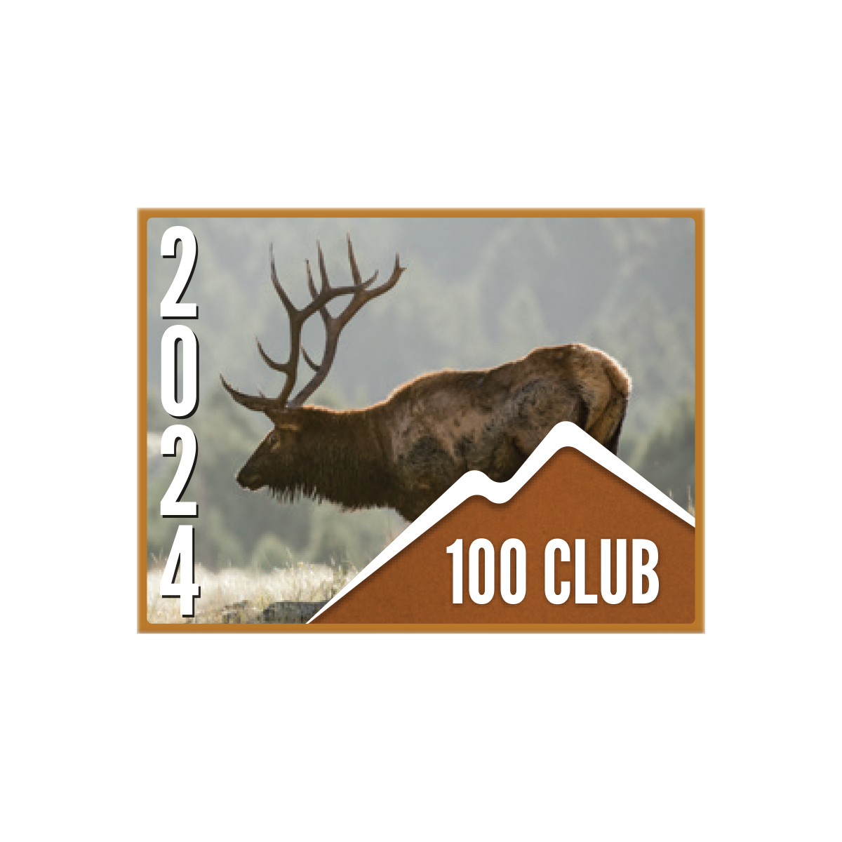 100 CLUB Pin (10 pk)