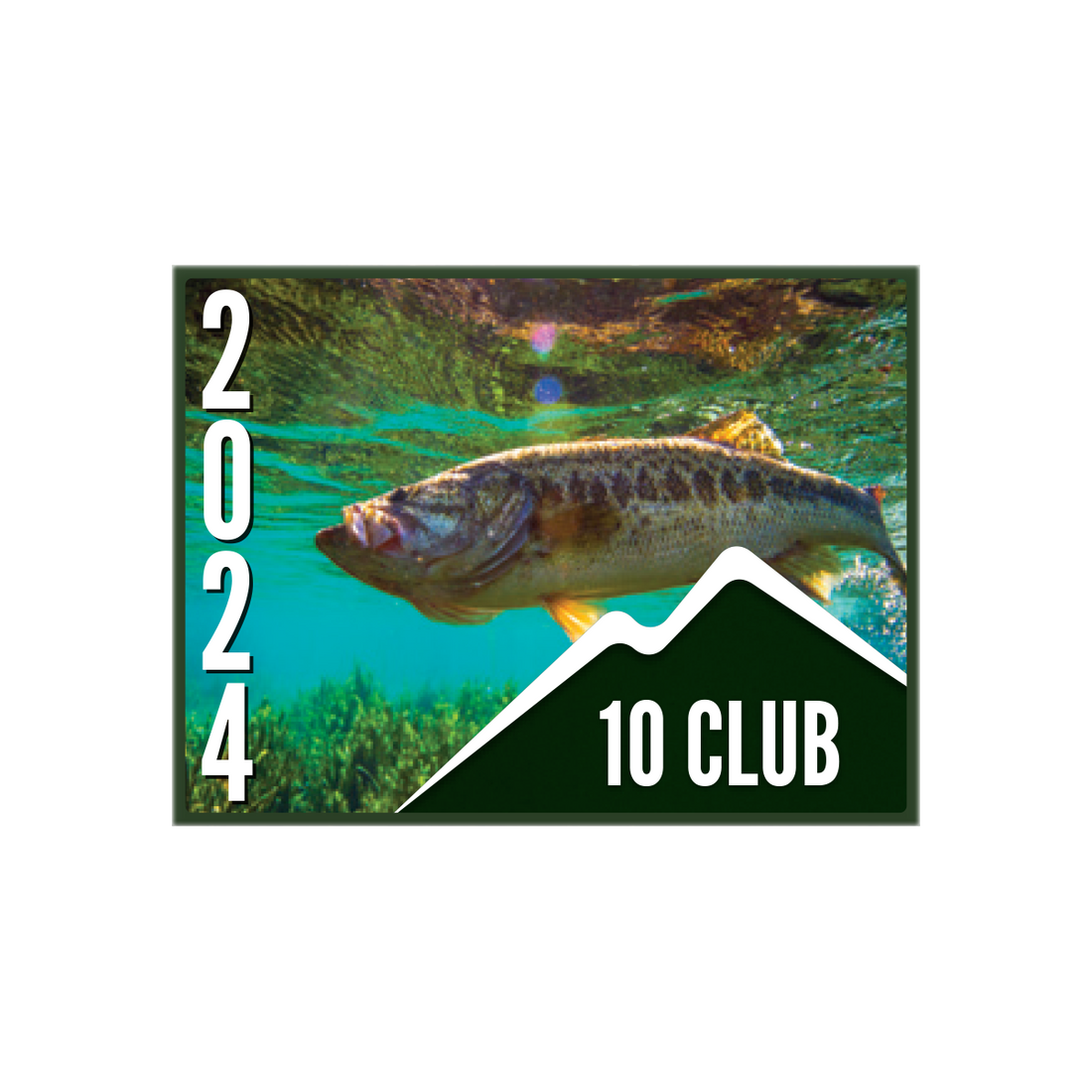 10 CLUB Pin (10 pk) – CLUB Members Only
