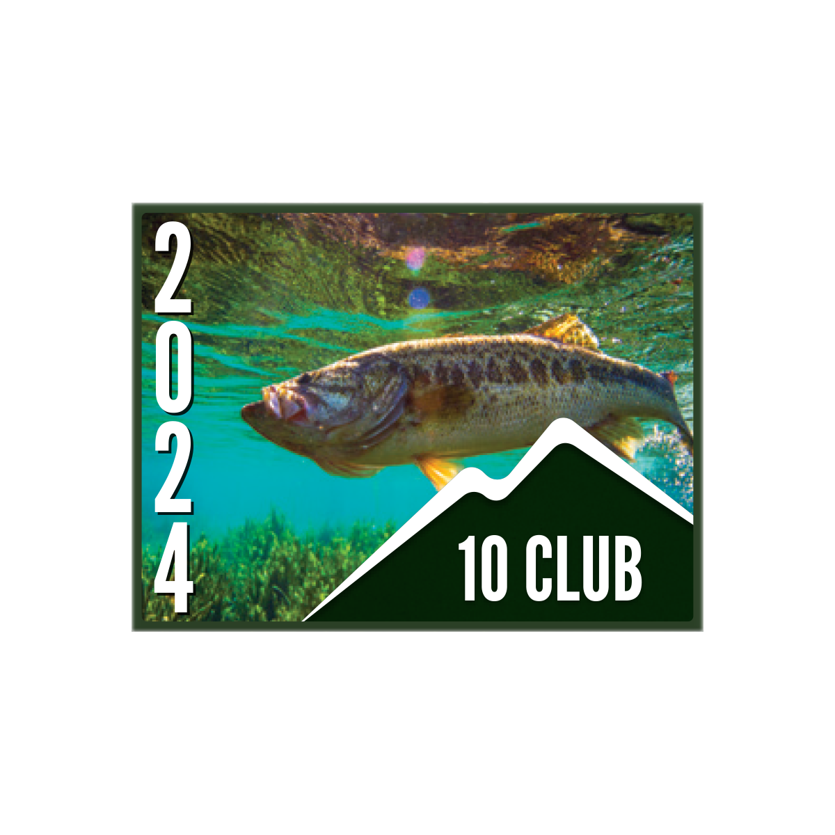 10 CLUB Pin (10 pk)