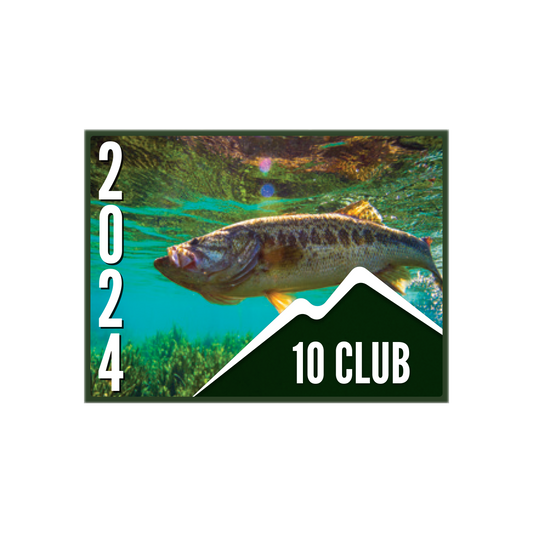 10 CLUB Pin (10 pk)