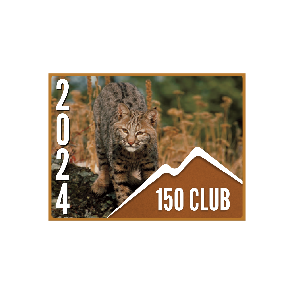 150 CLUB Pin (10 pk)