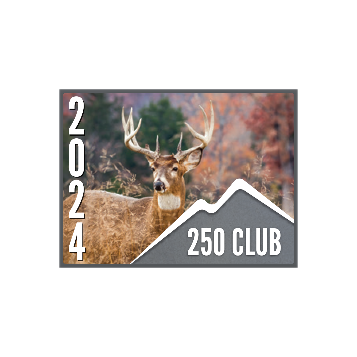 250 CLUB Pin (1 pk)