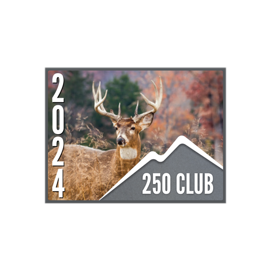 250 CLUB Pin (1 pk)