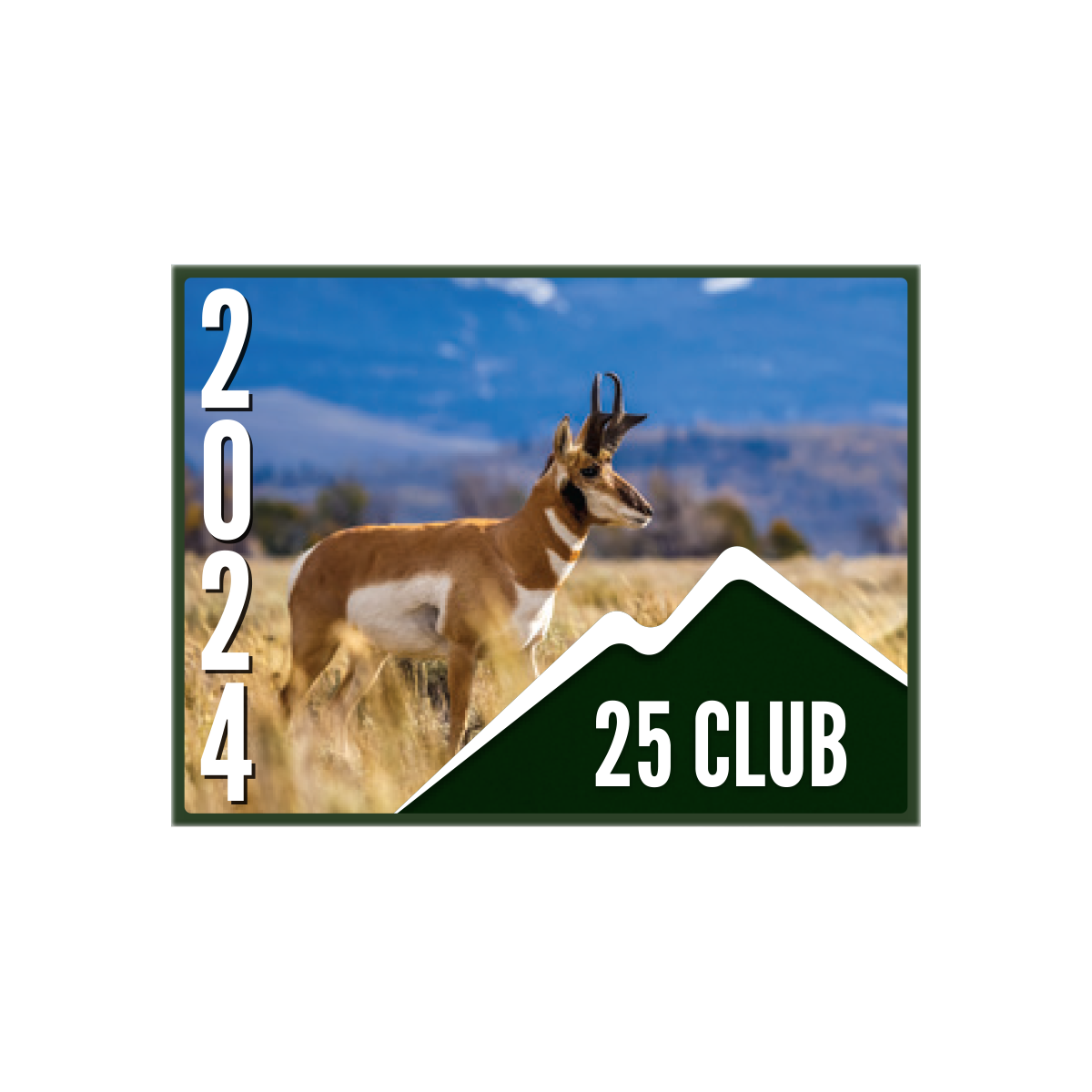 25 CLUB Pin (10 pk)