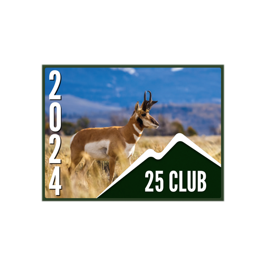 25 CLUB Pin (10 pk)