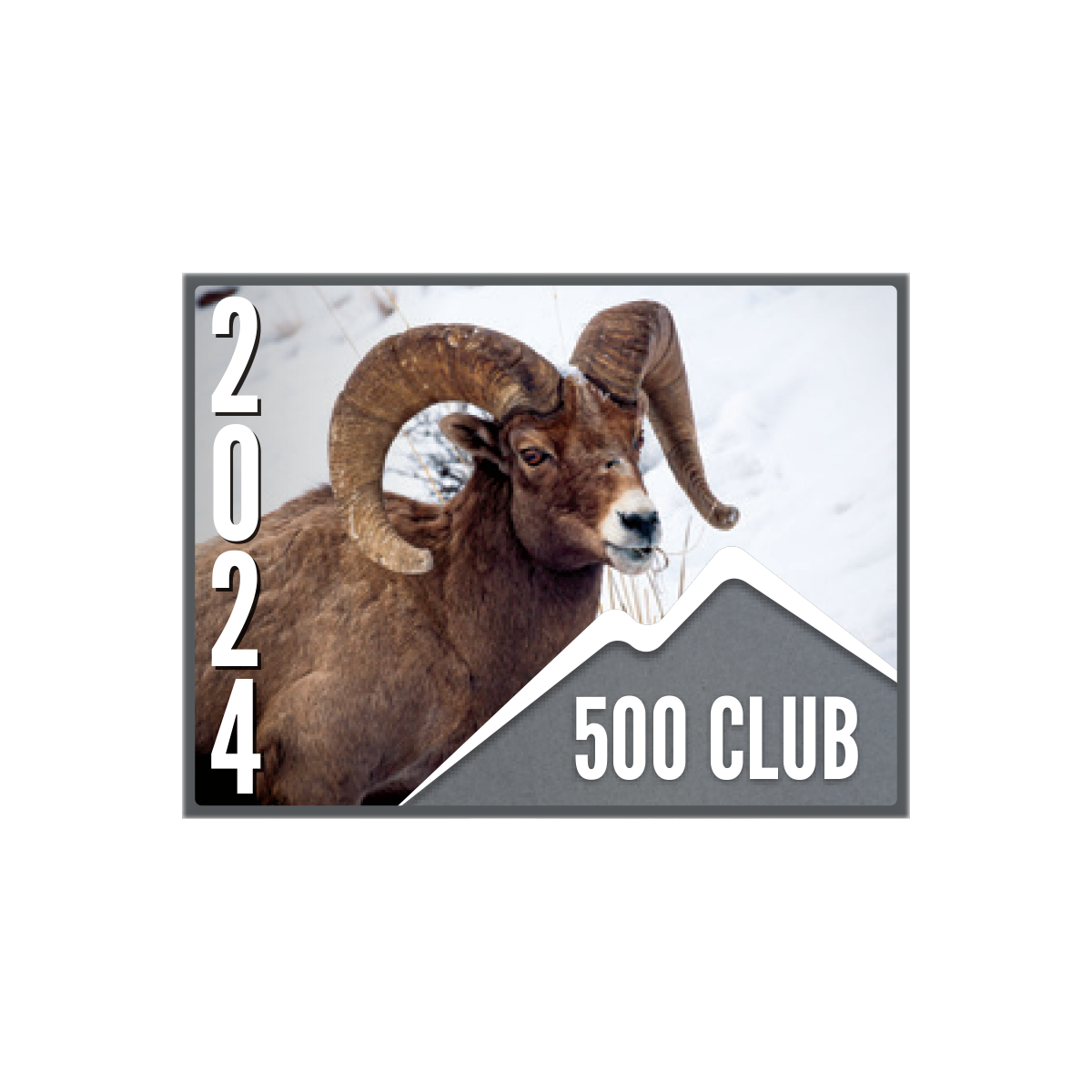 500 CLUB Pin (1 pk)