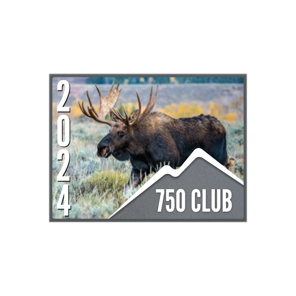 750 CLUB Pin (1 pk)