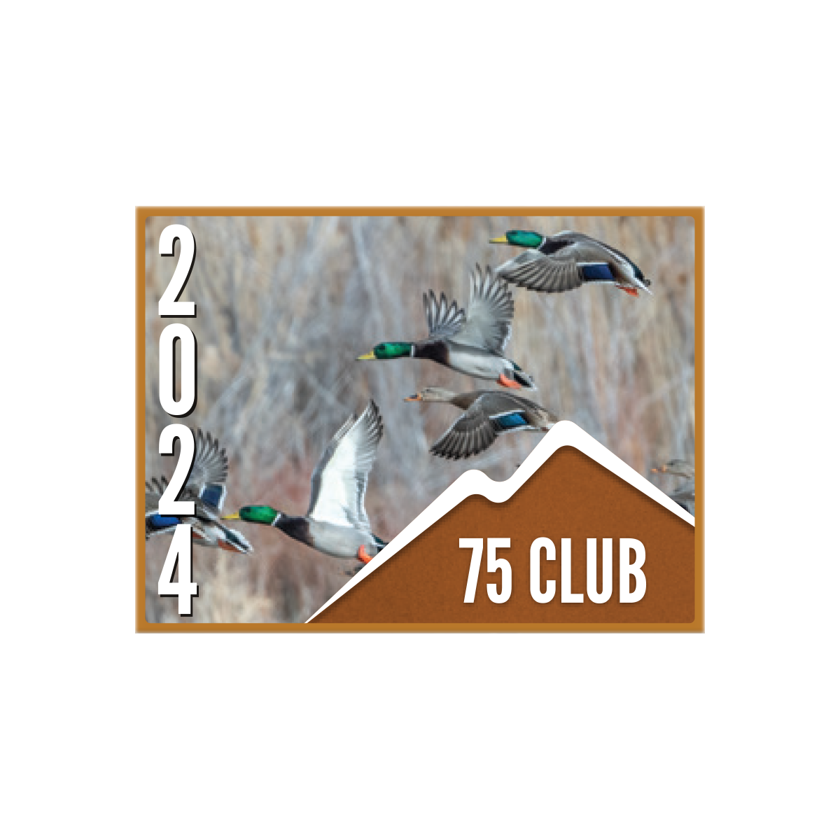 75 CLUB Pin (10 pk)