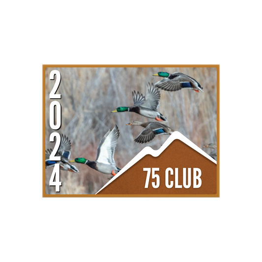 75 CLUB Pin (10 pk)